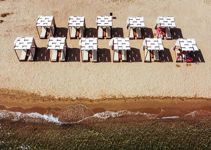 豪斯埃利欧纳斯酒店