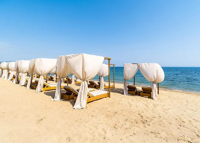 公寓 豪斯埃利欧纳斯酒店