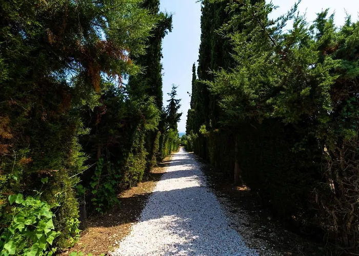 公寓 豪斯埃利欧纳斯酒店 *